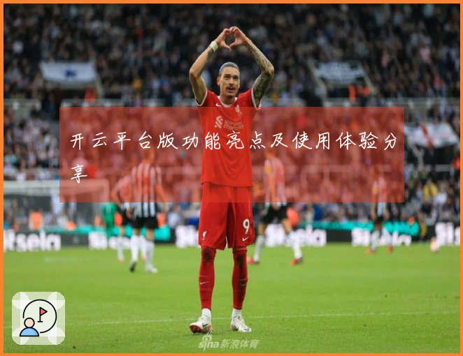 开云平台版功能亮点及使用体验分享