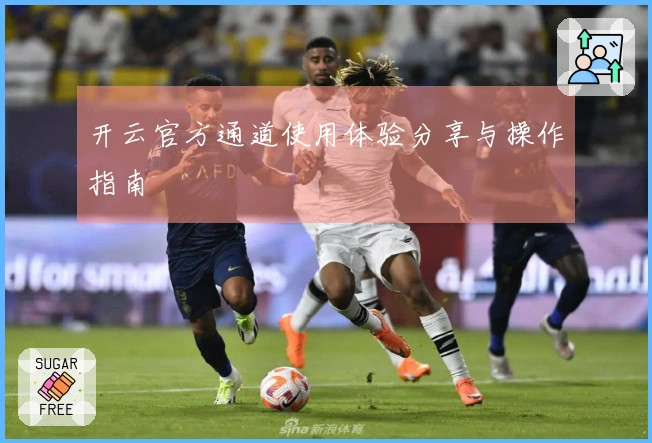 开云官方通道使用体验分享与操作指南